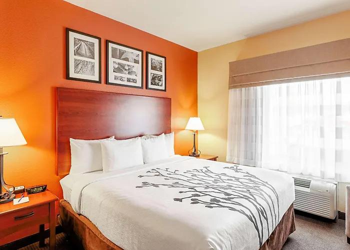 Sleep Inn & Suites Tyler South