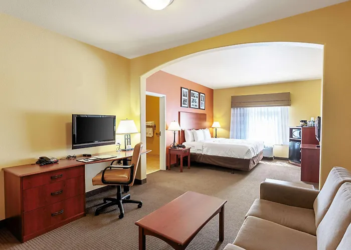 Sleep Inn & Suites Tyler South