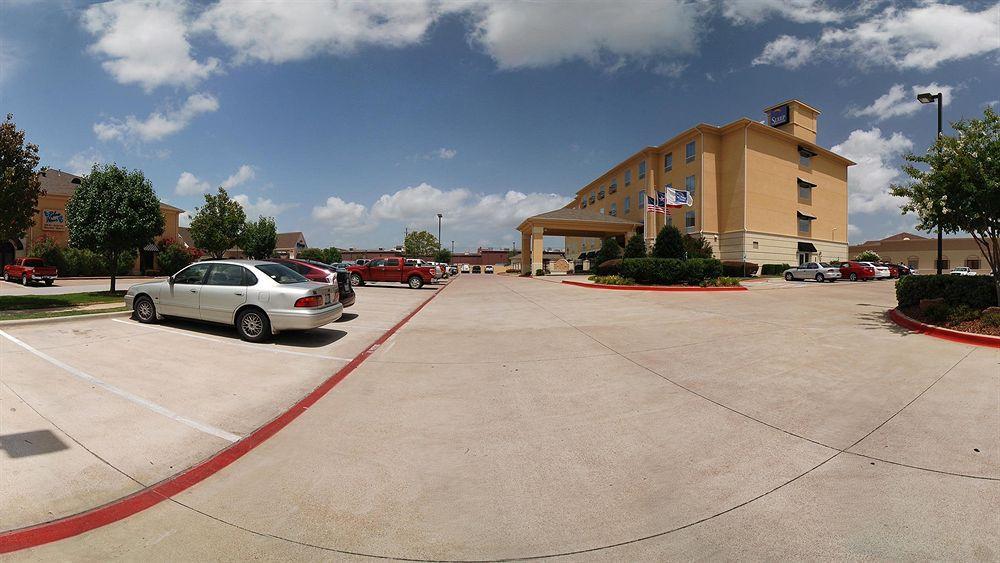 Sleep & South Tyler